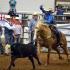 Tennessee High School Rodeo: Memphis Challenge